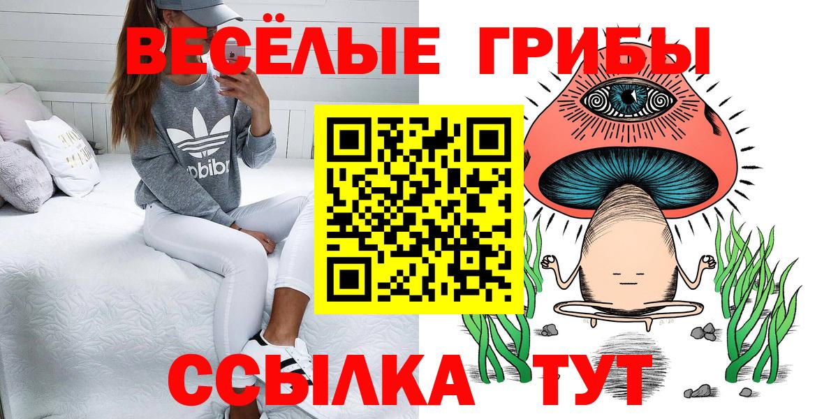 Галлюциногенные грибы Cubensis  Галлюциногенные грибы Psilocybe  Асбест  закладка  Вход с VPN 